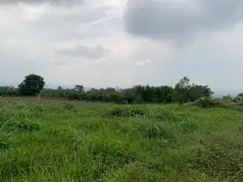 Tanah Murah Landungsari, Lokasi Strategis Dekat Pondok Thursina