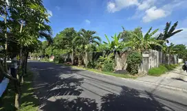 Tanah 268M2 jln Utama kayu tulang selatan Canggu Berawa