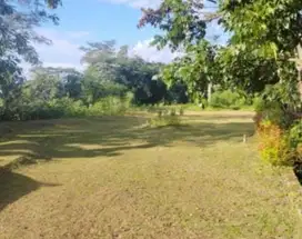 Termurah! Tanah kavling resort dago pakar bandung utara