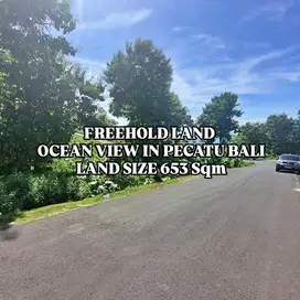 Sebidang Tanah Ocean View di Pantai Cemongkak Pecatu Bali