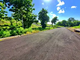 Dijual sebidang tanah ocean view di Pantai Cemongkak Pecatu Bali 
