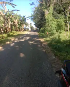 Tanah strategis dekat jalan