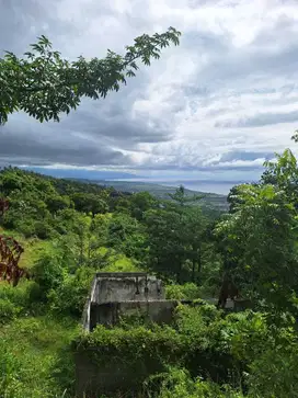 FREEHOLD LAND FOR SALE – LOVINA HILL Bali