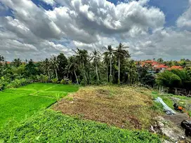 Dijual tanah di Ubud dkt jl Tirta Tawar,jl Andong Gianyar Bali