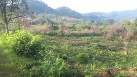 Tanah Strategis 12Ha Pinggir Jalan Raya Trans Yogi Kab Bogor