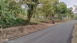 JUAL KEBUN DURIAN, MANGGIS, CENGKEH DLL DI KIARAPEDES PURWAKARTA