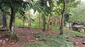 Jual Tanah 1,2 ha jl bukit Cinere gandul  Depok