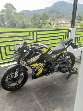Kawasaki Z250 2018