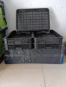 keranjang plastik rabbit 2001 bc