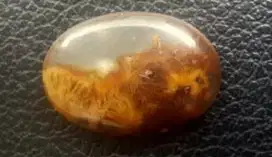Batu bentuk harimau