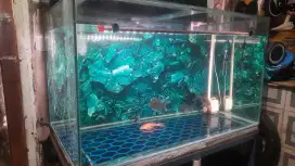 Aquarium ikan besar P 120cm /  L 70cm / T 70cm