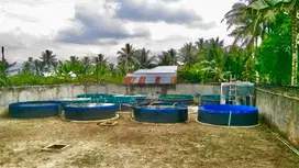 Kolam Terpal bioflok Diameter 4 FullSet
