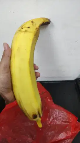 Pengasuh Anak- Anak