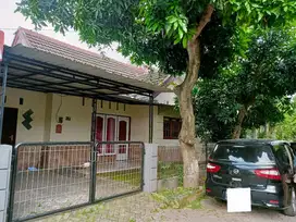 Rumah Di jual/Di kontrakkan