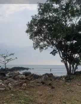 Jual MURAH Tanah Pinggir Pantai  Carita akses pinggir jln utama Carita