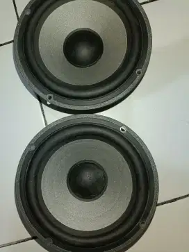 Focal Polyglass 6VR Midbass Only
