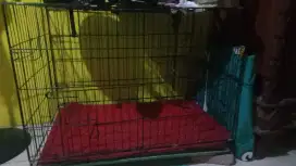 kandang kucing uk 90