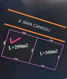 JUAL TANAH JALAN UTAMA CANGGU KEROBOKAN