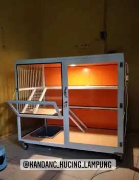 Kandang kucing lampung