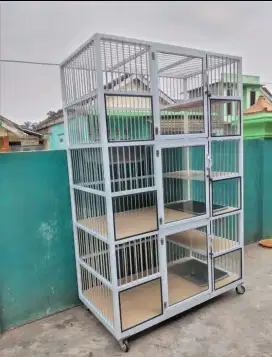 Kandang kucing lampung