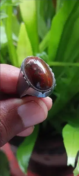 Cincin Akik Ati ayam Antik