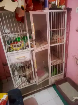 Kandang kucing besi 2 xtingkat