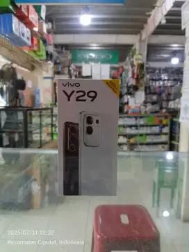 COCILAN VIVO Y29 8/256