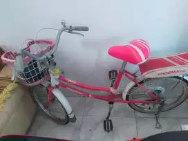 Sepeda mini anak remaja