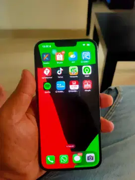 iphone 13promax