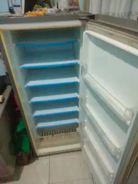 Frezzer LG normal