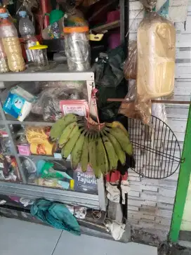 Pisang kepok putih khusus burung