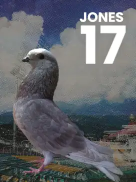 merpati endemik jawa sungut warna perak langka