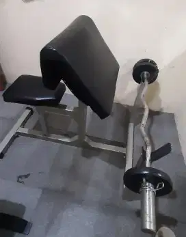 Alat gym bicep curl bench