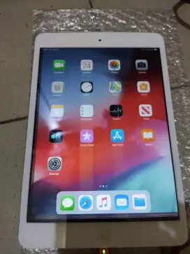 Ipad mini 2 minus