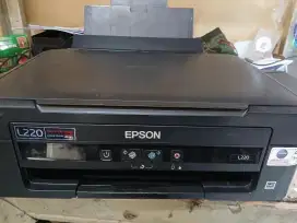 Epson L220 Nozzle full