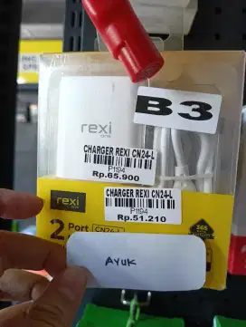 CHARGER REXI CN24-L