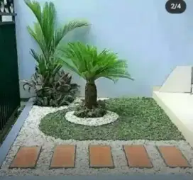 pembuatan taman rumputt termurah