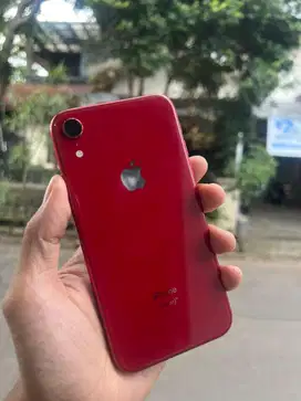 Iphone xr 64gb ibox