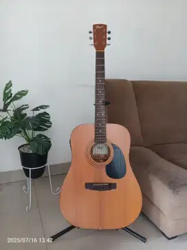 CORT AD 810 NS AKUSTIK ELEKTRIK
