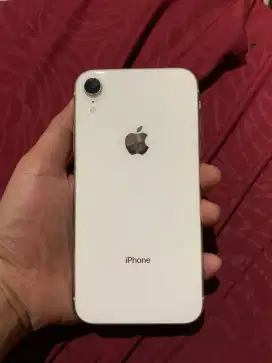Iphone xr 64gb mulus banget