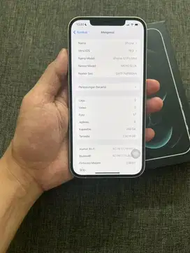 Iphone 12 Promax 256GB Ex Inter
