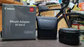 Mount Adapter EF-EOS R