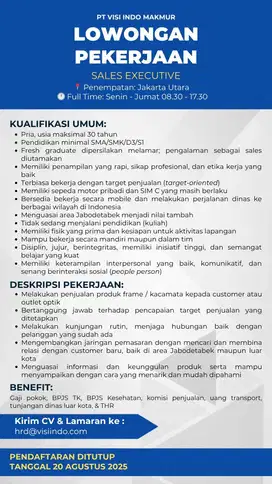 SALES EXECUTIVE