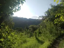 Seraya barat Karang Asem Luas 90 are
