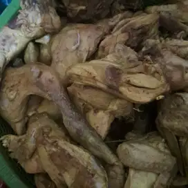 Lowongan kerja tanpa ijazah