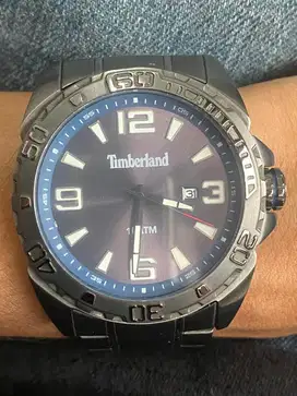 Timberland rante