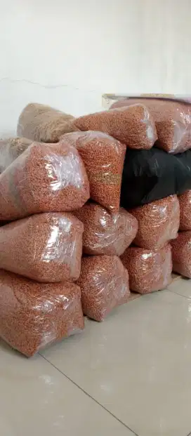 Pakan kucing merk MEO murah