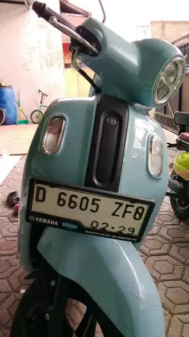 Fazioo warna biru