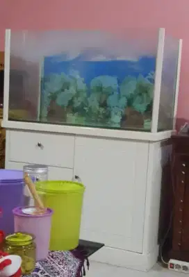 JUAL AQUARIUM IKAN GRATIS IKAN KOI