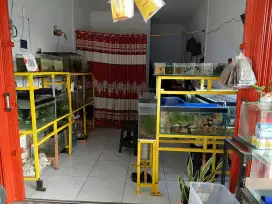 Aquarium set beserta isi